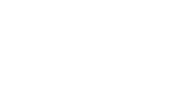 logo la brasserie du roi