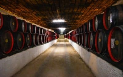 Comment fonctionne le team building autour de la bière ?