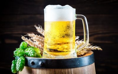 Quels sont les différents types de bière ?